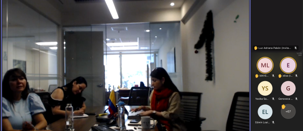 Consulado en Lima coordina encuentro virtual con los turistas colombianos afectados por la situación en Perú